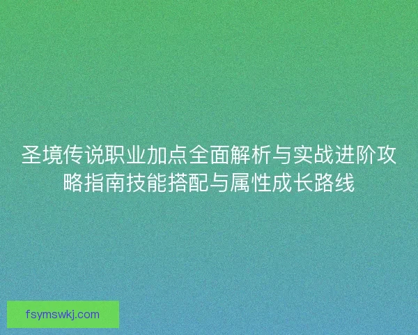 圣境传说职业加点全面解析与实战进阶攻略指南技能搭配与属性成长路线