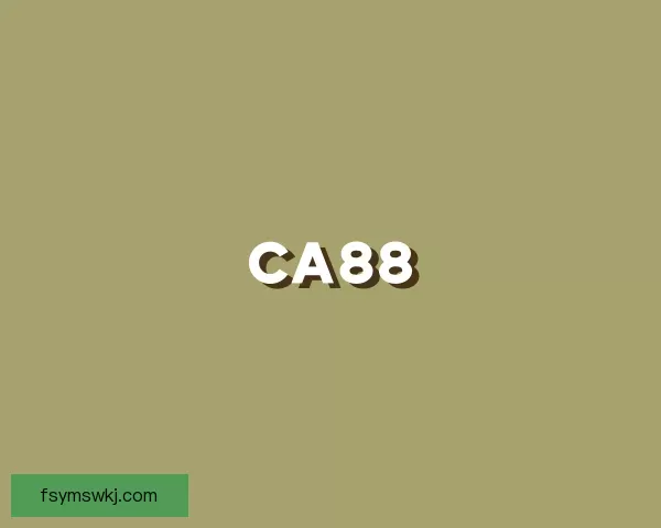 发现CA88
